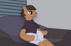 Size: 1302x847 | Tagged: artist needed, safe, oc, oc only, earth pony, pony, clothes, couch, male, pants, shirt, sitting, smiling, solo, stallion, t-shirt