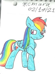 Size: 755x1010 | Tagged: safe, artist:cmara, rainbow dash, pegasus, pony, g4, raised hoof, simple background, solo, traditional art, white background