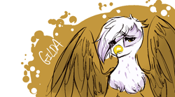 Size: 900x500 | Tagged: safe, artist:burgerlicious, gilda, griffon, g4, female, looking at you, solo