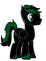 Size: 2121x2828 | Tagged: safe, artist:xboomdiersx, oc, oc only, oc:boomdier, pegasus, pony, green and black mane, green and black oc, high res, male, pegasus oc, simple background, solo, transparent background, unshorn fetlocks, vector