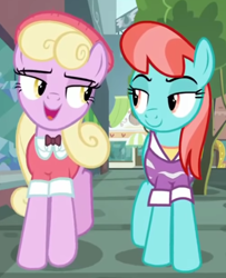 Size: 1202x1480 | Tagged: safe, screencap, luckette, strawberry ice, earth pony, pony, fake it 'til you make it, g4, cropped, duo, female, looking at each other, mare