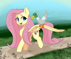 Size: 3000x2500 | Tagged: safe, artist:bunchedupletters, artist:hrukii, fluttershy, bird, duck, pegasus, pony, g4, bandage, chest fluff, cute, female, high res, mare, open mouth, shyabetes, solo, spread wings, that pony sure does love animals, trace, wings