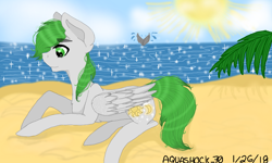 Size: 854x512 | Tagged: source needed, safe, artist:aquashock_70, oc, oc only, oc:dreamer skies, pegasus, pony, whale, beach, chest fluff, cloud, eyebrows, eyebrows visible through hair, folded wings, lying down, male, ocean, outdoors, pegasus oc, sand, sky, smiling, solo focus, stallion, sun, water, wings