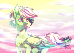 Size: 2730x1992 | Tagged: safe, artist:mysterydog121, oc, oc only, oc:inex code, pegasus, pony, male, solo, two toned mane, two toned tail, two toned wings, wings