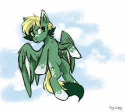 Size: 2800x2500 | Tagged: safe, artist:ami-gami, oc, oc only, oc:inex code, pegasus, pony, flying, high res, male, solo, two toned mane, two toned tail, two toned wings, wings