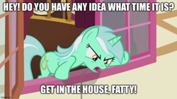 Size: 888x499 | Tagged: safe, edit, edited screencap, screencap, lyra heartstrings, pony, unicorn, g4, slice of life (episode), angry, caption, family guy, image macro, looking back, male, meme, quote, reference, text, window, yelling