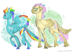 Size: 5730x4110 | Tagged: safe, artist:iceofwaterflock, fluttershy, rainbow dash, pegasus, pony, g4, alternate design, colored sketch, duo, sketch, unshorn fetlocks