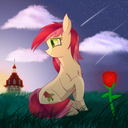 Size: 2500x2500 | Tagged: safe, artist:divifilly, roseluck, earth pony, pony, g4, flower, grass, grass field, high res, rose, sky, solo