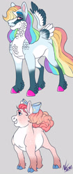 Size: 1280x3059 | Tagged: safe, artist:corisodapop, pinkie pie, rainbow dash, pony, g4, alternate design, bow, hair bow, tail feathers, transgender