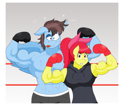 Size: 2048x1753 | Tagged: safe, artist:matchstickman, apple bloom, oc, oc:calm wind, earth pony, pegasus, anthro, matchstickman's apple brawn series, tumblr:where the apple blossoms, g4, abs, apple bloom's bow, apple brawn, armpits, biceps, bow, boxing gloves, boxing ring, breasts, busty apple bloom, clothes, comic, derp, duo, female, flexing, hair bow, injured, looking at you, male, mare, muscles, older, older apple bloom, partial nudity, pecs, pegasus oc, posing for photo, stallion, tongue out, topless, tumblr comic