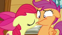 Size: 1920x1080 | Tagged: safe, screencap, apple bloom, scootaloo, earth pony, pegasus, pony, g4, my little pony: friendship is magic, on your marks, season 6, boop, female, filly, noseboop, now kiss, out of context