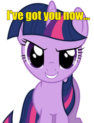 Size: 977x1280 | Tagged: artist needed, safe, twilight sparkle, g4, caption, close-up, evil smile, grin, looking at you, rapeface, simple background, smiling, text, vector, white background