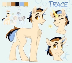 Size: 1135x1000 | Tagged: safe, artist:trickate, oc, oc only, oc:trace, pony, unicorn, eyes closed, male, reference sheet, solo, stallion