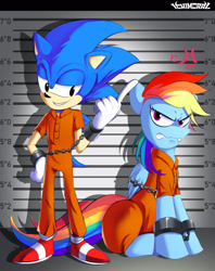 Size: 1376x1739 | Tagged: safe, artist:ichimoral, rainbow dash, hedgehog, pegasus, pony, g4, bound wings, chains, clothes, cuffs, frustrated, line-up, male, prison outfit, prisoner, prisoner rd, shackles, smug, sonic the hedgehog, sonic the hedgehog (series), wings