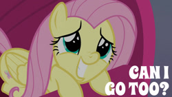 Size: 1280x720 | Tagged: safe, edit, edited screencap, editor:quoterific, screencap, fluttershy, pegasus, pony, g4, season 9, sweet and smoky, couch, cute, female, gritted teeth, lying down, mare, prone, puppy dog eyes, shyabetes, smiling, solo, teeth