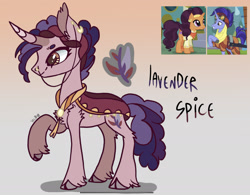 Size: 2135x1668 | Tagged: safe, artist:caramelbolt24, hoo'far, saffron masala, oc, oc:lavender spice, earth pony, pony, unicorn, g4, abstract background, clothes, cloven hooves, crack ship offspring, ear fluff, female, male, mare, nose chains, offspring, parent:hoo'far, parent:saffron masala, parents:saf'far, raised hoof, screencap reference, signature, stallion