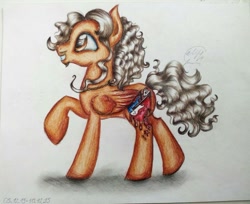Size: 1024x837 | Tagged: safe, artist:maryhoovesfield, oc, oc only, pegasus, pony, ear fluff, grin, pegasus oc, raised hoof, signature, smiling, solo, traditional art, wings