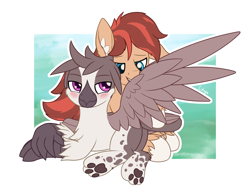 Size: 2200x1700 | Tagged: safe, artist:litrojia, oc, oc only, oc:cottonwood kindle, oc:glade, earth pony, griffon, pony, abstract background, bedroom eyes, blushing, chest fluff, gay, grooming, lidded eyes, male, oc x oc, paw pads, paws, preening, shipping, smiling, spread wings, stallion, underpaw, wings
