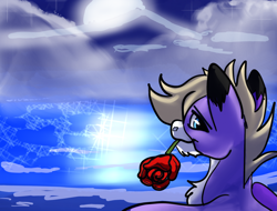 Size: 2048x1556 | Tagged: safe, artist:brainiac, oc, oc only, oc:foxtrot, pegasus, pony, unicorn, flower, flower in mouth, male, mouth hold, rose, rose in mouth, solo, stallion