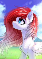 Size: 700x980 | Tagged: safe, artist:hakaina, oc, oc only, oc:making amends, pegasus, pony, chest fluff, commission, concave belly, slender, solo, thin, windswept mane, ych result