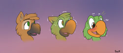 Size: 1280x553 | Tagged: safe, artist:foxxy-arts, oc, oc:arvid, bird, griffon, parrot, barely pony related, character to character, griffon oc, jose carioca, male, transformation