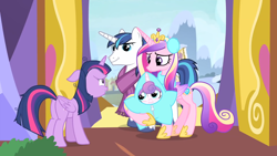 Size: 1920x1080 | Tagged: safe, screencap, princess cadance, princess flurry heart, shining armor, twilight sparkle, alicorn, pony, unicorn, g4, my little pony best gift ever, floppy ears, male, sisters-in-law, stallion, star flurry heart, twilight sparkle (alicorn)