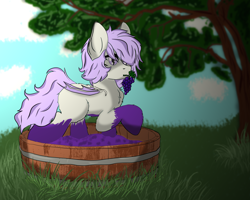 Size: 4000x3200 | Tagged: safe, artist:alistair504, oc, oc:silvi francele, bat pony, pony, bat pony oc, female, food, grape stomping, grapes, mare