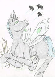 Size: 2072x2894 | Tagged: safe, artist:cindertale, oc, oc only, changeling, pegasus, pony, changeling oc, flying, high res, looking up, pegasus oc, traditional art, wings