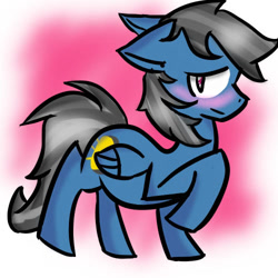Size: 500x500 | Tagged: safe, artist:sketchynix, oc, oc only, oc:alexis, pegasus, pony, belly, blushing, looking back, male, male pregnancy, pegasus oc, pregnant, solo
