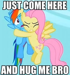 Size: 280x300 | Tagged: safe, edit, edited screencap, screencap, fluttershy, rainbow dash, pegasus, pony, g4, season 2, secret of my excess, cropped, hug, meme