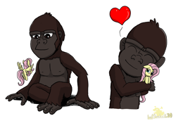 Size: 2927x2048 | Tagged: safe, artist:lordshrekzilla20, fluttershy, ape, kaiju, pegasus, pony, g4, baby kong, cute, daaaaaaaaaaaw, heart, high res, king kong