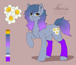 Size: 3655x3125 | Tagged: safe, artist:alexispaint, oc, oc only, oc:narcie, earth pony, pony, clothes, cutie mark, female, glasses, high res, mare, piercing, reference sheet, socks, solo, standing