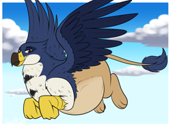Size: 2219x1652 | Tagged: safe, artist:swiftsketchpone, oc, oc only, oc:lnyx, griffon, belly, big belly, flying, male, solo