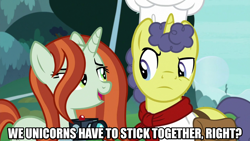 Size: 1280x720 | Tagged: safe, edit, edited screencap, screencap, crackle cosette, queen chrysalis, stove comet, pony, unicorn, g4, the ending of the end, bag, camera, caption, disguise, disguised changeling, female, image macro, male, mare, meme, saddle bag, stallion, text