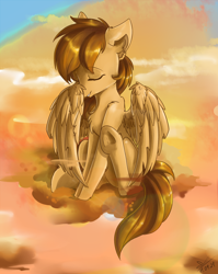Size: 1780x2234 | Tagged: safe, artist:yuris, oc, oc only, oc:sharpwing, pegasus, pony, brown mane, chest fluff, cleaning, cloud, male, pegasus oc, raised hoof, sky, solo, sunset