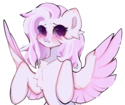 Size: 1176x987 | Tagged: safe, alternate version, artist:just_gray-x, oc, oc only, oc:nochi, pegasus, pony, :i, blushing, chest fluff, looking at you, solo, sparkles, spread wings, wings