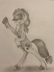 Size: 3024x4032 | Tagged: safe, artist:ginnythequeen, applejack, earth pony, pony, g4, bipedal, chest fluff, dock, grin, monochrome, paper, pencil drawing, raised leg, smiling, straw in mouth, traditional art, underhoof, unshorn fetlocks