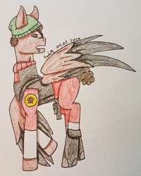 Size: 2215x2774 | Tagged: safe, artist:agdapl, pegasus, pony, clothes, crossover, demoman, demoman (tf2), hat, high res, looking back, male, ponified, signature, solo, stallion, team fortress 2, traditional art, wings