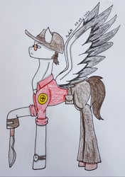 Size: 2468x3498 | Tagged: safe, artist:agdapl, pegasus, pony, belt, clothes, crossover, glasses, hat, high res, male, pants, ponified, signature, sniper, sniper (tf2), solo, stallion, team fortress 2, traditional art, two toned wings, watch, wings