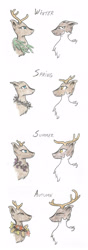 Size: 1172x3332 | Tagged: safe, artist:cindertale, oc, oc only, oc:petra, deer, antlers, bust, deer oc, simple background, traditional art, white background