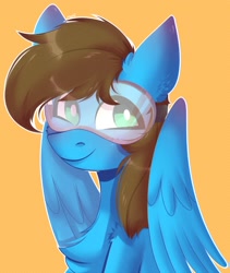 Size: 1500x1781 | Tagged: safe, artist:morttdecai3, oc, oc only, oc:blue scroll, pegasus, pony, bust, looking at you, male, portrait, safety goggles, wings