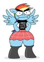 Size: 1421x2000 | Tagged: safe, anonymous artist, rainbow dash, pegasus, pony, g4, :i, bipedal, clothes, female, frown, impossibly wide hips, mare, shirt, simple background, skirt, solo, spread wings, stockings, t-shirt, thigh highs, wat, white background, wide hips, wings