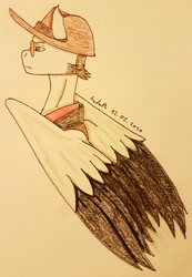 Size: 2284x3309 | Tagged: safe, artist:agdapl, pegasus, pony, bust, clothes, crossover, frown, hat, high res, male, ponified, signature, sniper, sniper (tf2), solo, stallion, sunglasses, team fortress 2, traditional art, two toned wings, wings