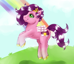 Size: 670x580 | Tagged: safe, artist:archego-art, pipp petals, pegasus, pony, g1, g5, cloud, female, g5 to g1, generation leap, grass, green eyes, mare, rainbow, raised hoof, sky, smiling, solo, unshorn fetlocks, wings