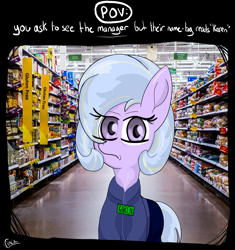 Size: 2615x2786 | Tagged: safe, artist:vinca, oc, oc only, oc:vinca aquamarine, pegasus, pony, female, high res, karen, mare, meme, solo, speak to the manager