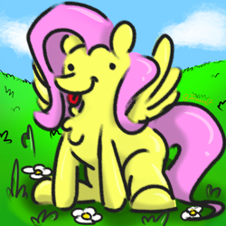 Size: 1024x1024 | Tagged: safe, artist:foxcorn17, fluttershy, pegasus, pony, g4, chest fluff, dot eyes, female, majestic as fuck, mare, silly, sitting, solo, tongue out