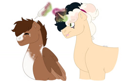 Size: 1280x854 | Tagged: safe, artist:itstechtock, oc, oc only, oc:halfmoon cookie, oc:whippoorwill, pegasus, pony, unicorn, female, hair dye, magic, magical lesbian spawn, male, mare, offspring, parent:derpy hooves, parent:doctor whooves, parent:fresh coat, parent:sweet biscuit, parents:doctorderpy, simple background, stallion, white background