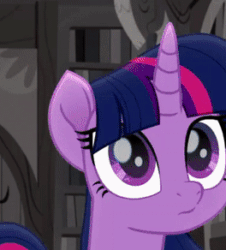 Size: 264x292 | Tagged: safe, screencap, twilight sparkle, alicorn, pony, g4, my little pony: rainbow roadtrip, adorkable, animated, awww, close-up, cropped, cute, dork, eye shimmer, female, gif, mare, smiling, solo, sweet dreams fuel, twiabetes, twilight sparkle (alicorn), weapons-grade cute