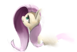 Size: 1500x1000 | Tagged: safe, artist:usager, fluttershy, pony, g4, simple background, solo, white background