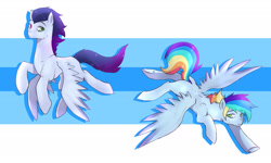 Size: 3162x1897 | Tagged: safe, artist:kraytt-05, oc, oc only, oc:fallout, oc:philadelfia, pegasus, pony, brothers, duo, interdimensional siblings, male, offspring, parent:rainbow dash, parent:soarin', parents:soarindash, siblings, stallion